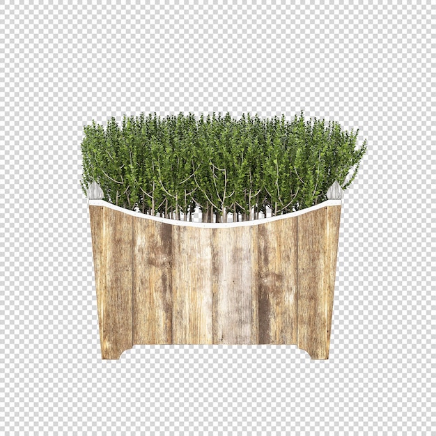 Plant psd, plant png, download plant transparante achtergrond