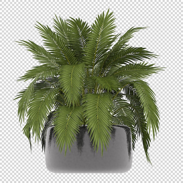 Plant psd, plant png, download plant transparante achtergrond