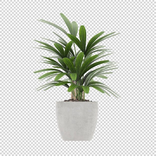 Plant PSD, Plant PNG, Download Plant Transparante Achtergrond