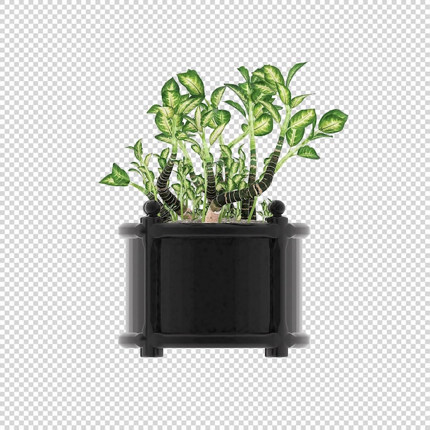 PSD plant psd, plant png, download plant transparent background