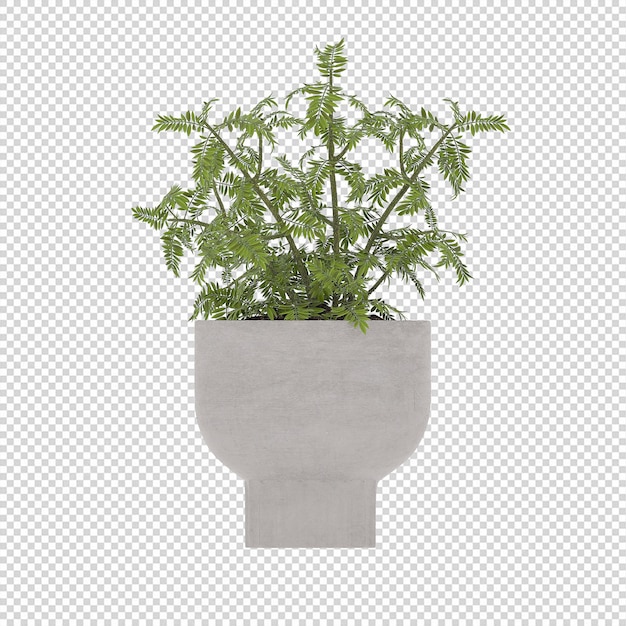 Plant psd, plant png, download plant transparent background