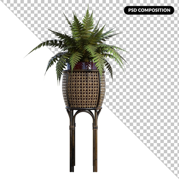 Plant in rattan vase