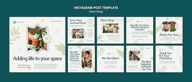 PSD plant shop instagram posts template