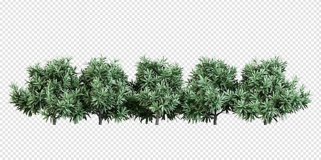 고립 된 3d 렌더링의 식물과 관목