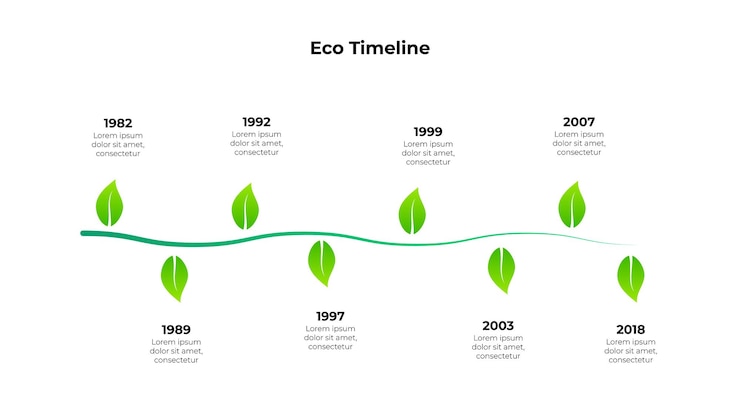 PSD plant stem with leaves ecology infographic template environmentally friendly template