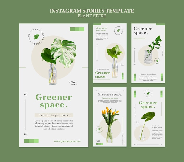 Modello di storie instagram del negozio di piante
