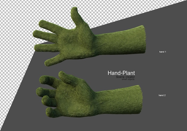 a plant that grows on the hand
