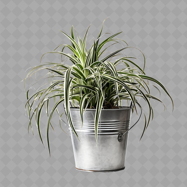 A plant that is in a metal pot