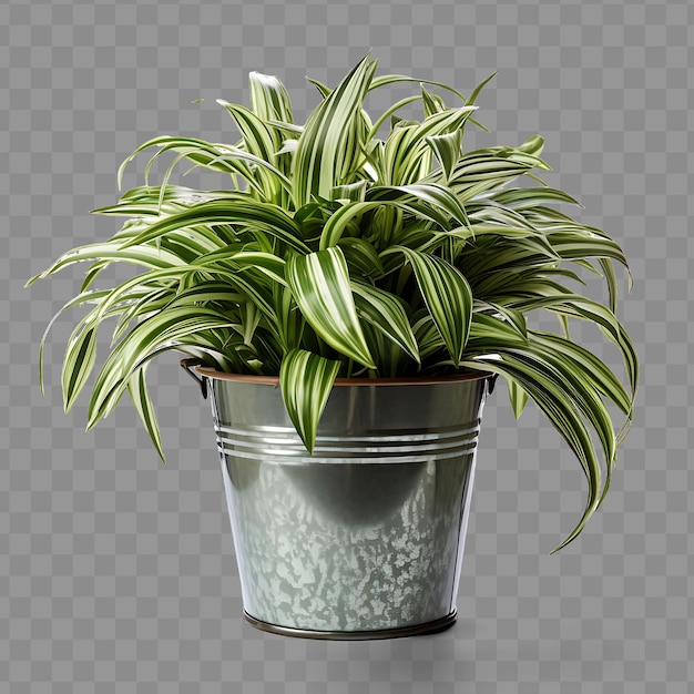 PSD a plant that is in a silver pot