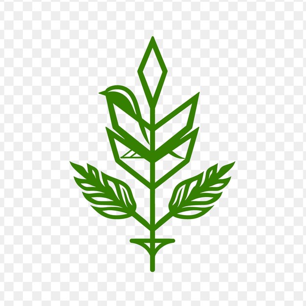 Plant on a transparent background