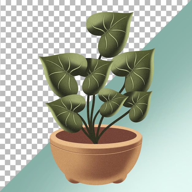 Plant V1 006
