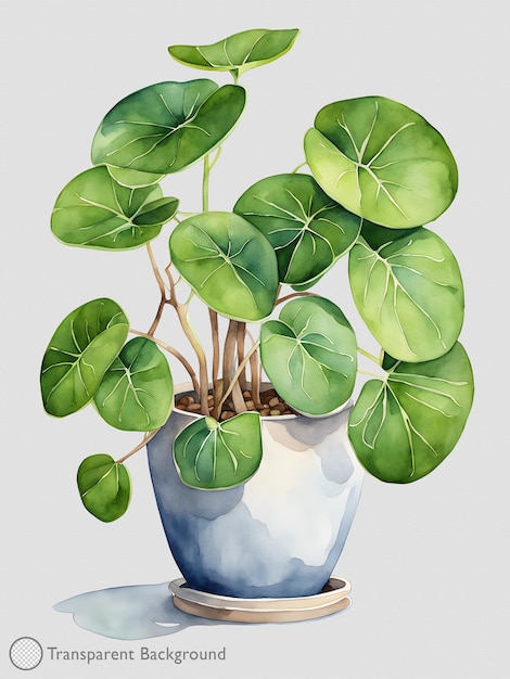 PSD plant watercolor illustration