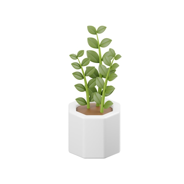 A plant in a white pot with a green plant in it.