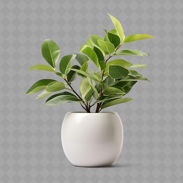 PSD a plant in a white vase with a gray background