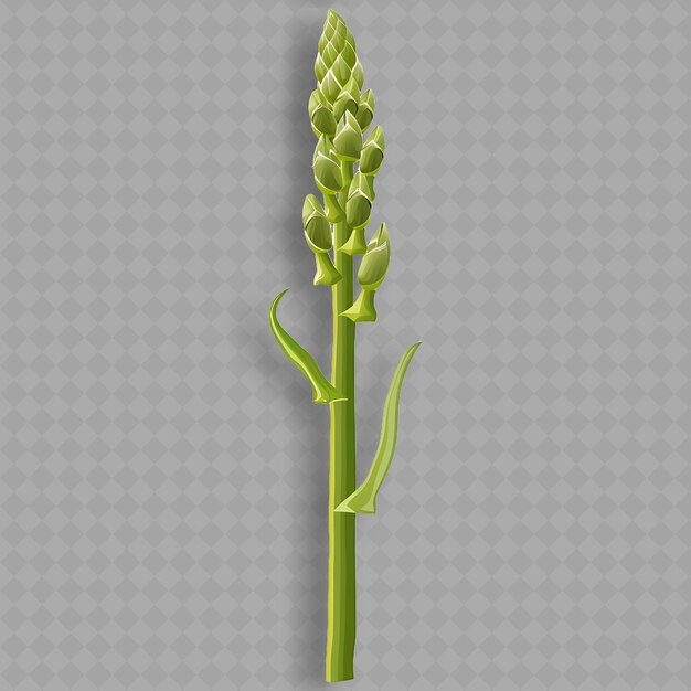 PSD a plant with a background that sayssproutson it