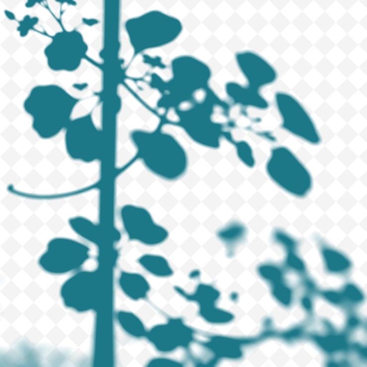 PSD a plant with blue leaves and a white background