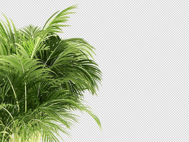 灰色の背景に緑の葉がある植物