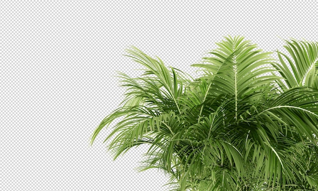 灰色の背景に緑の葉がある植物