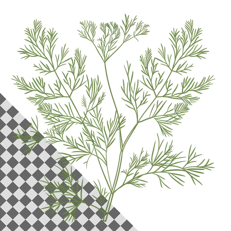 PSD plant with green leaves isolated on transparent background