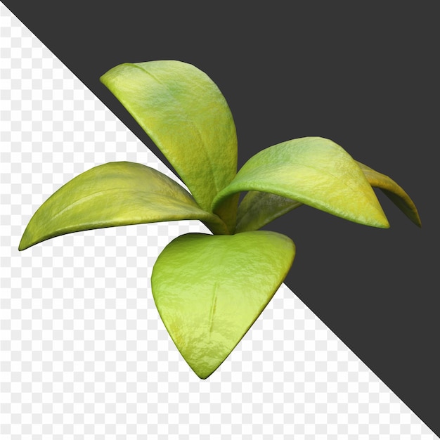 a plant with green leaves that is labeled with the word quot reuse quot