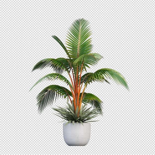 Plant with plant modern beautiful vase pot