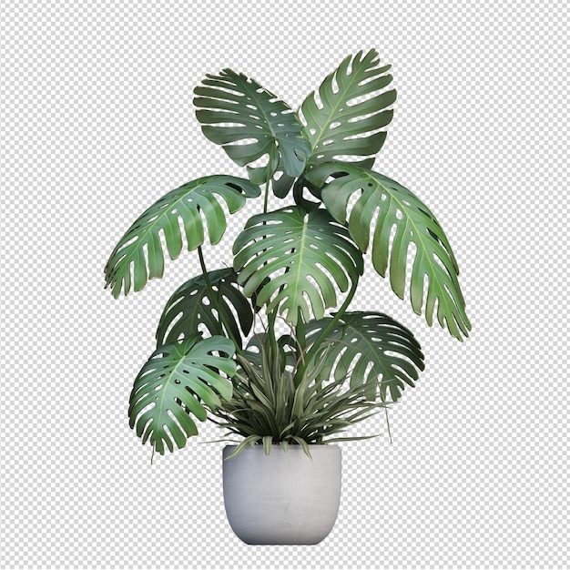 plant with plant modern beautiful vase pot