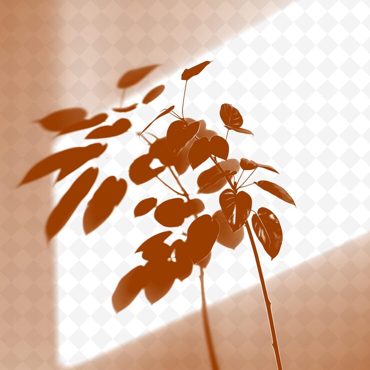 PSD a plant with red flowers and a white background