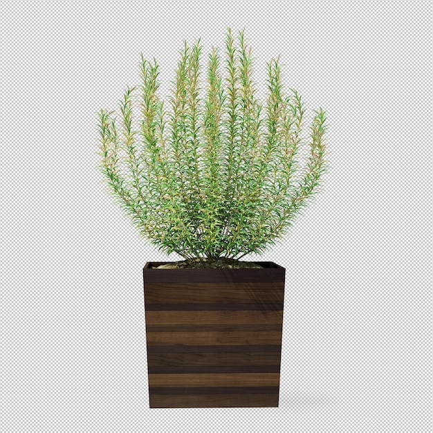 Plant in wooden pot in 3d rendering