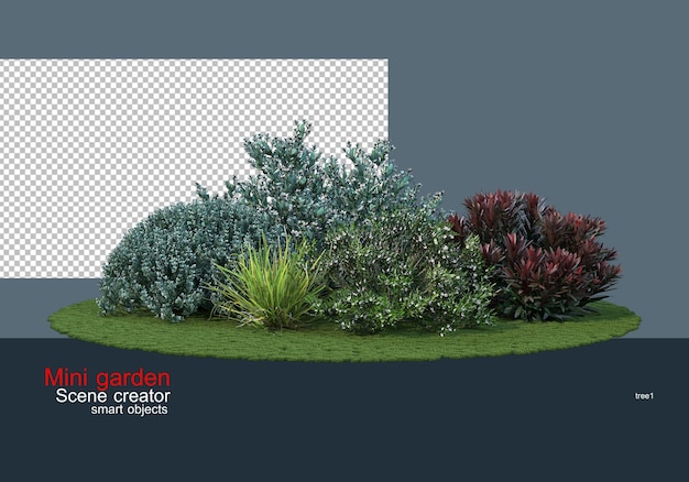 plant