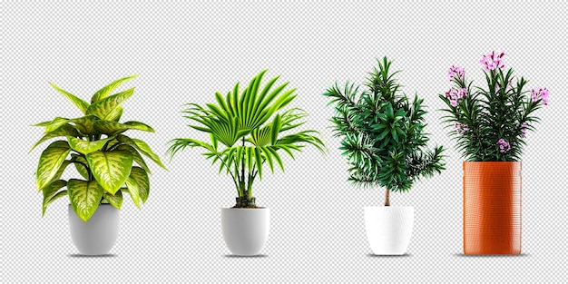 Planten bloeien in potten in 3D-ontwerp