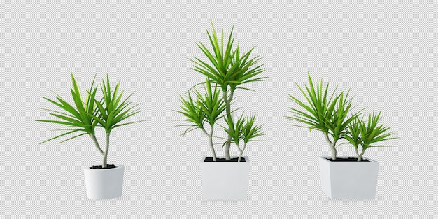 Planten in potten in 3D-rendering