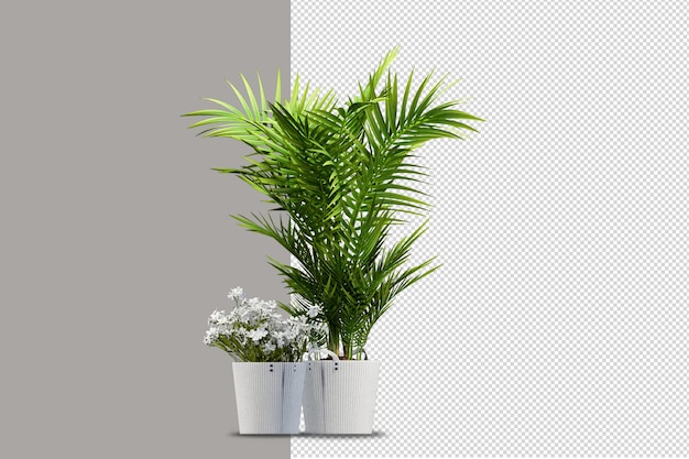 Planten in potten in 3D-rendering