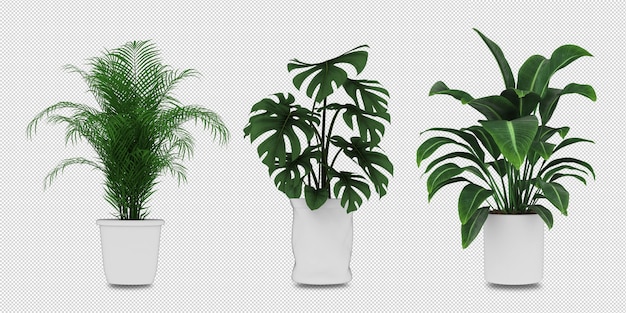 Planten in potten in 3d teruggegeven geïsoleerd