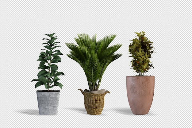 Planten ontwerpen in verschillende hoeken scène-maker