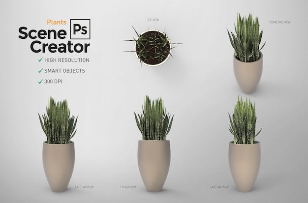 PSD planten. scène maker. 3d