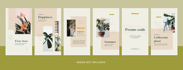 PSD planto instagram story template vol2