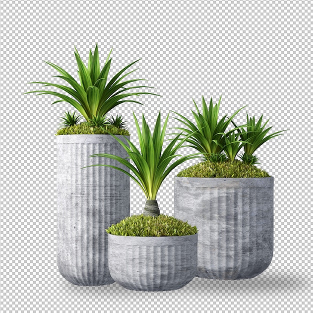 Plants in 3d rendering