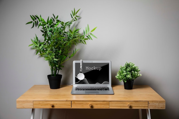 植物とmacbookのモックアップ