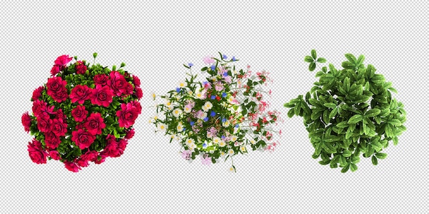 PSD plants flower in pots in 3d rendered