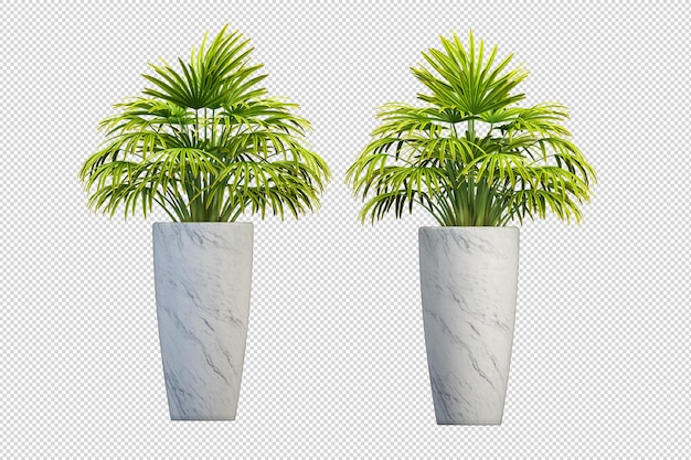 3dレンダリングで鉢植えの植物