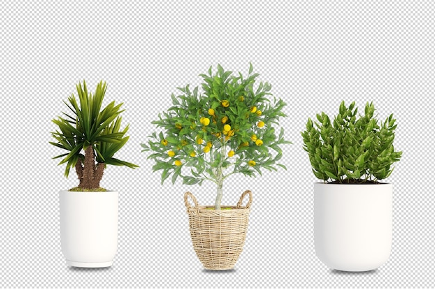 3dレンダリングされた鉢植えの植物