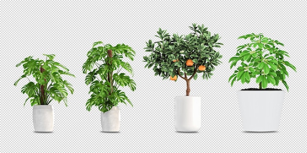 3dレンダリングされた鉢植えの植物