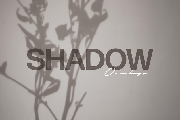 Plants minimalist shadow overlay photo effect