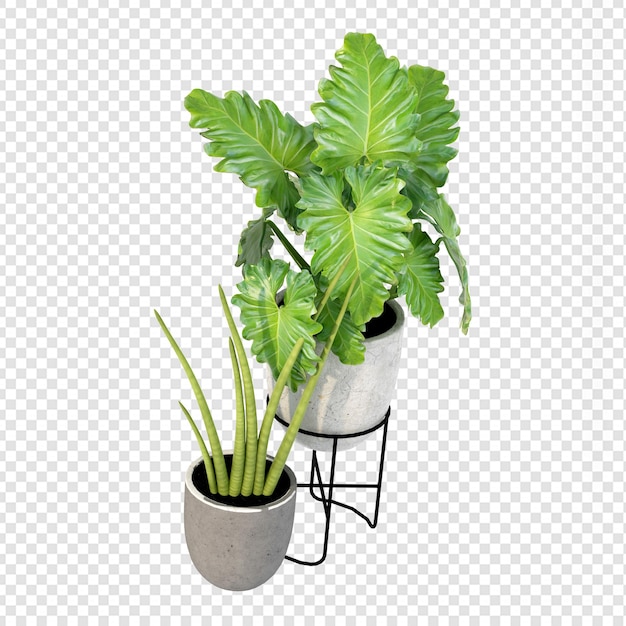 PSD piante in vaso nella rappresentazione 3d