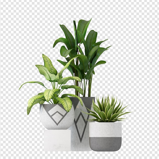 Plants in pot in 3d rendering