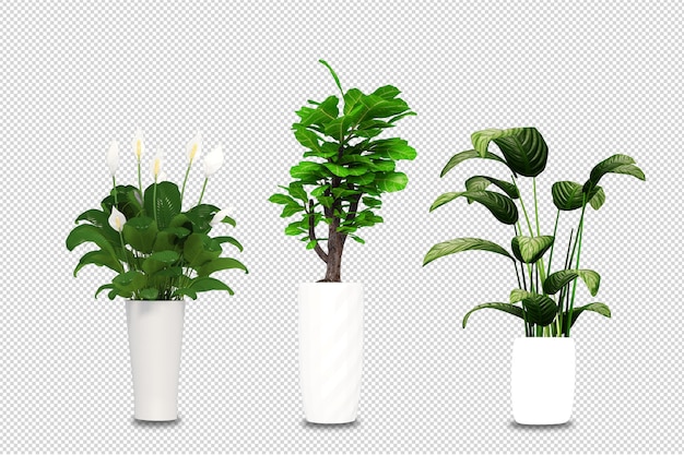 Plants in pots in 3d rendered isolated