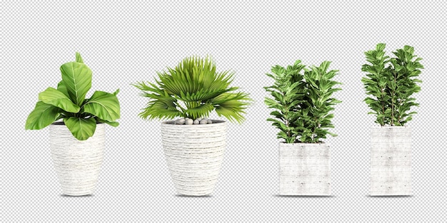 Plants in pots in 3d rendered isolated