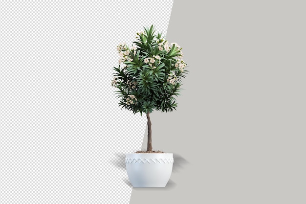 Plants in pots in 3d rendered isolated