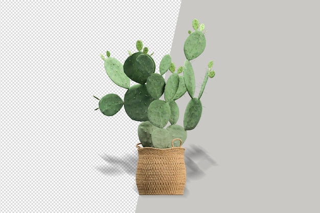 Plants in pots in 3d rendered isolated