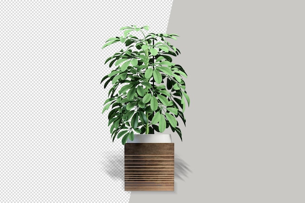 Plants in pots in 3d rendered isolated